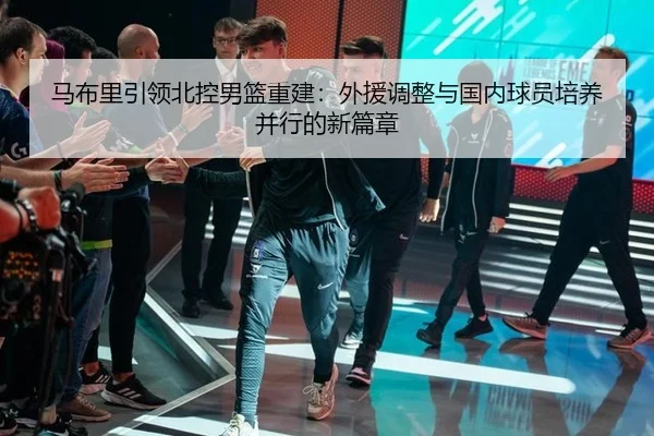 ma-bu-li-yin-ling-bei-kong-nan-lan-chong-jian-wai-yuan-tiao-zheng-yu-guo-nei-qiu-yuan-pei-yang-bing-xing-de-xin-pian-3-365.jpg