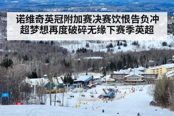 诺维奇英冠附加赛决赛饮恨告负冲超梦想再度破碎无缘下赛季英超
