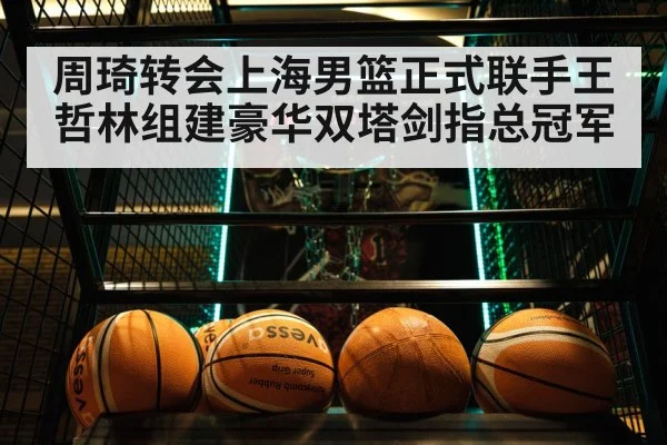 Wang Zhelin basketball