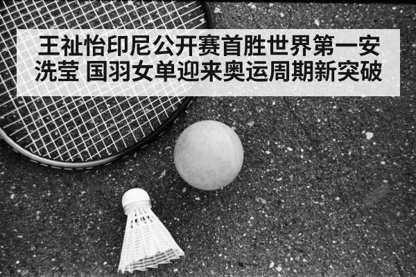 Wang Zhiyi badminton